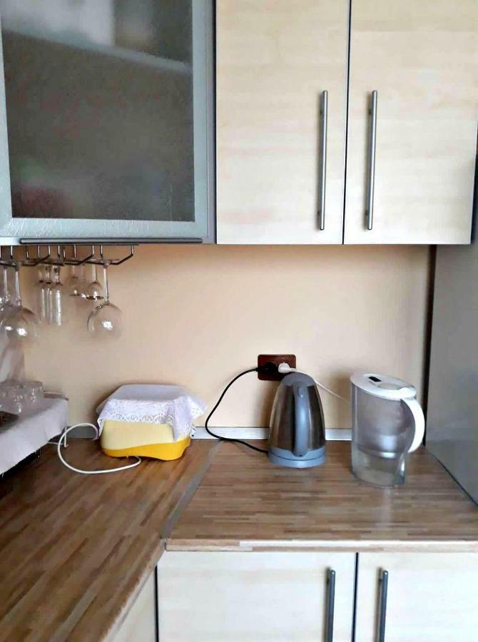 Apartment In The Historical City Center Chernivtsi Εξωτερικό φωτογραφία